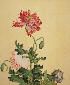 Blumen Werke - Lang glänzt Mohn alte China Tinte Giuseppe Castiglione Blumenschmuck